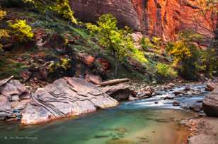 Zion Canyon, Fall-4528 Zion Canyon, Fall-4528